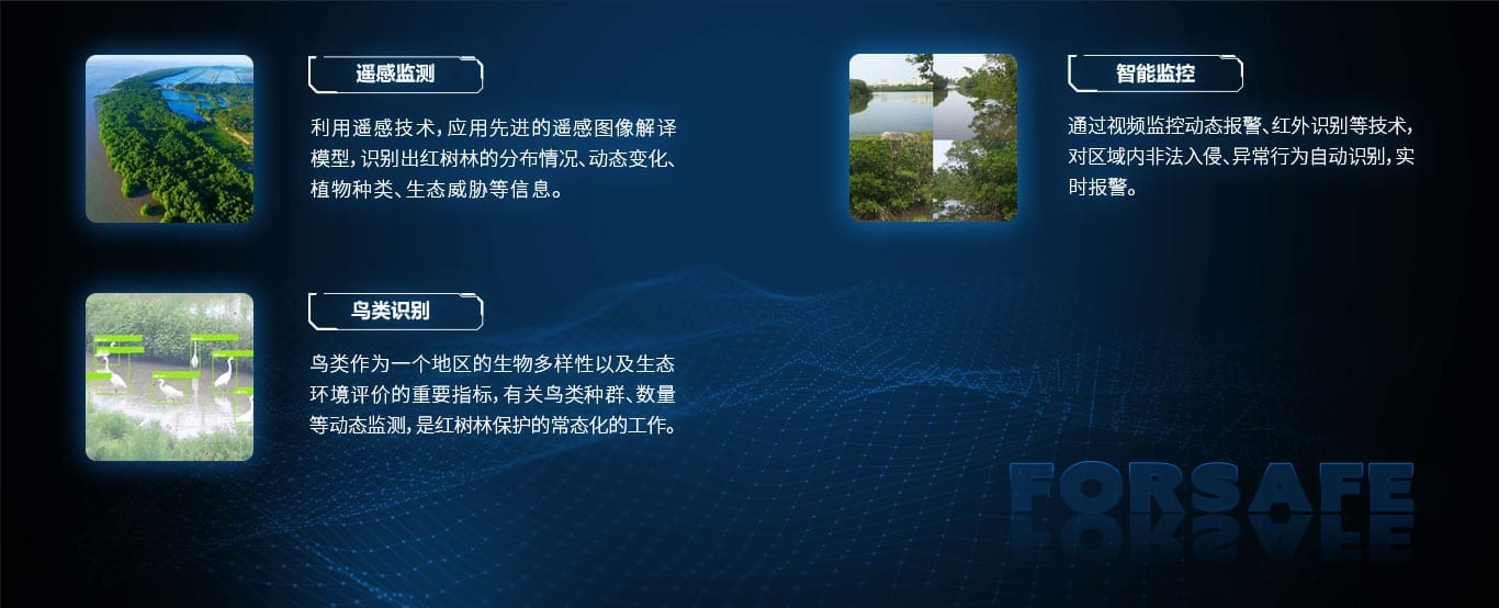 红树林资源立体监测